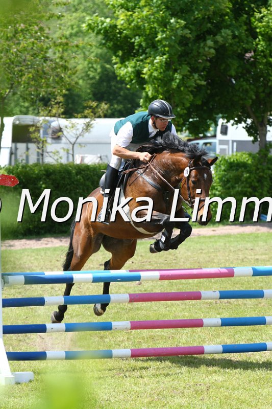 204M3639_Araquita T_Spring_L.JPG